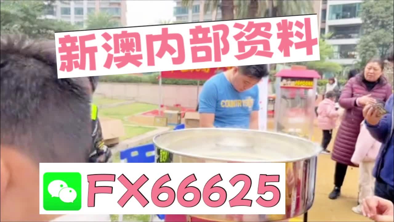 新奧2025正版資料大全，全面解析與深度探索，新奧2025正版資料大全，全面解析與深度探索揭秘