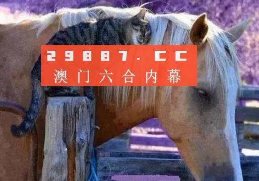 澳門一肖一碼一待一中四不像，探索與解析，澳門一肖一碼一待一中四不像，深度解析與探索