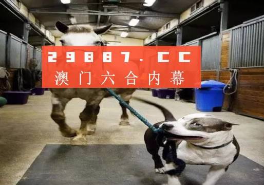 澳門一肖一碼一必中一肖，同舟前進的奧秘與策略，澳門一肖一碼必中策略與前進奧秘，同舟共濟的揭秘與策略
