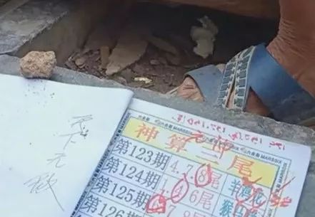 香港中特期期準資料，深度解析與探索，香港中特期期準資料深度解析與探索報告