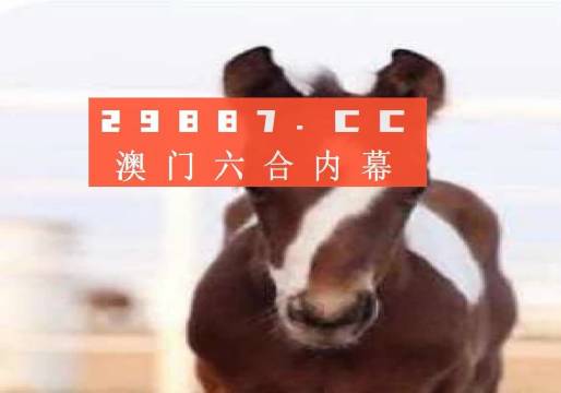 澳門一肖一碼狀元紅，揭秘彩票背后的秘密與策略，澳門彩票揭秘，狀元紅背后的秘密與策略解析