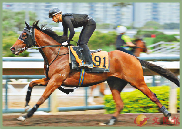 香港賽馬，探索數(shù)字背后的激情與榮耀，香港賽馬，數(shù)字背后的激情與榮耀之旅
