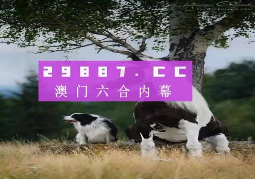 澳門天天空彩官網資料，探索彩票世界的門戶，澳門天天空彩官網資料，彩票世界探索門戶