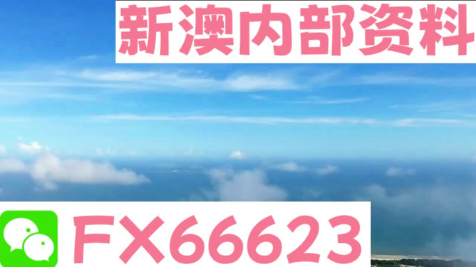 新澳內部免費爆料，揭秘內部不為人知的秘密，新澳內部揭秘，不為人知的秘密大爆料