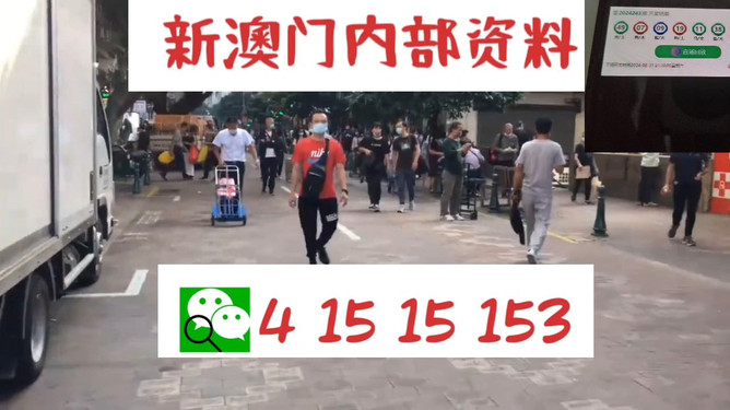 澳門管家婆，揭秘一種獨(dú)特的文化現(xiàn)象與娛樂體驗(yàn)，澳門管家婆，文化現(xiàn)象與娛樂體驗(yàn)的揭秘