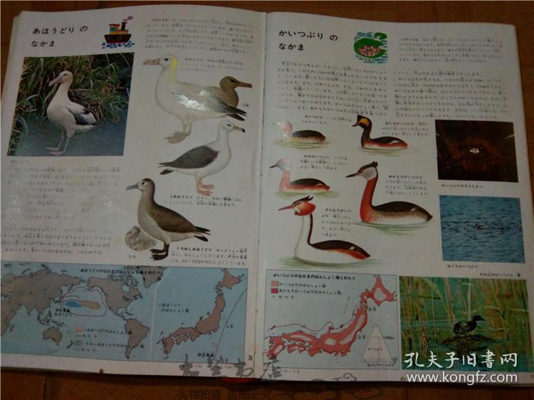 今日正版跑狗圖分享，探索7777788888跑狗圖的魅力，今日正版跑狗圖分享，探索魅力十足的777778跑狗圖