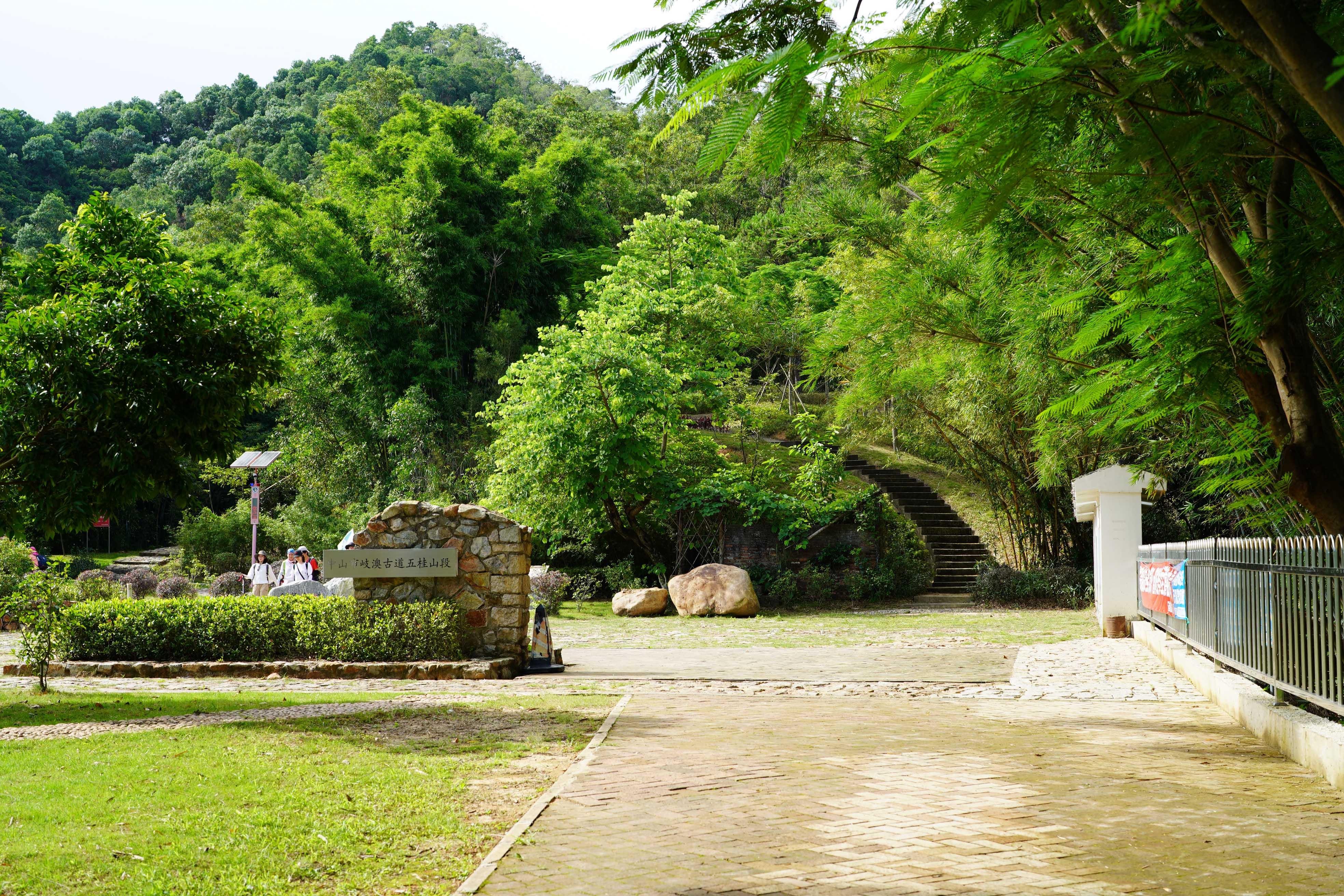 新澳門彩生肖走勢圖，探索與解讀彩票背后的秘密，探索解讀新澳門彩生肖走勢圖，彩票背后的秘密揭秘