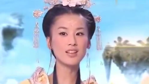 曾道道人資料免費大全，深度探索與解析，曾道道人資料深度解析與免費大全探索