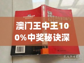 新澳門王中王期期中，探索與解析，新澳門王中王期期中，深度探索與解析