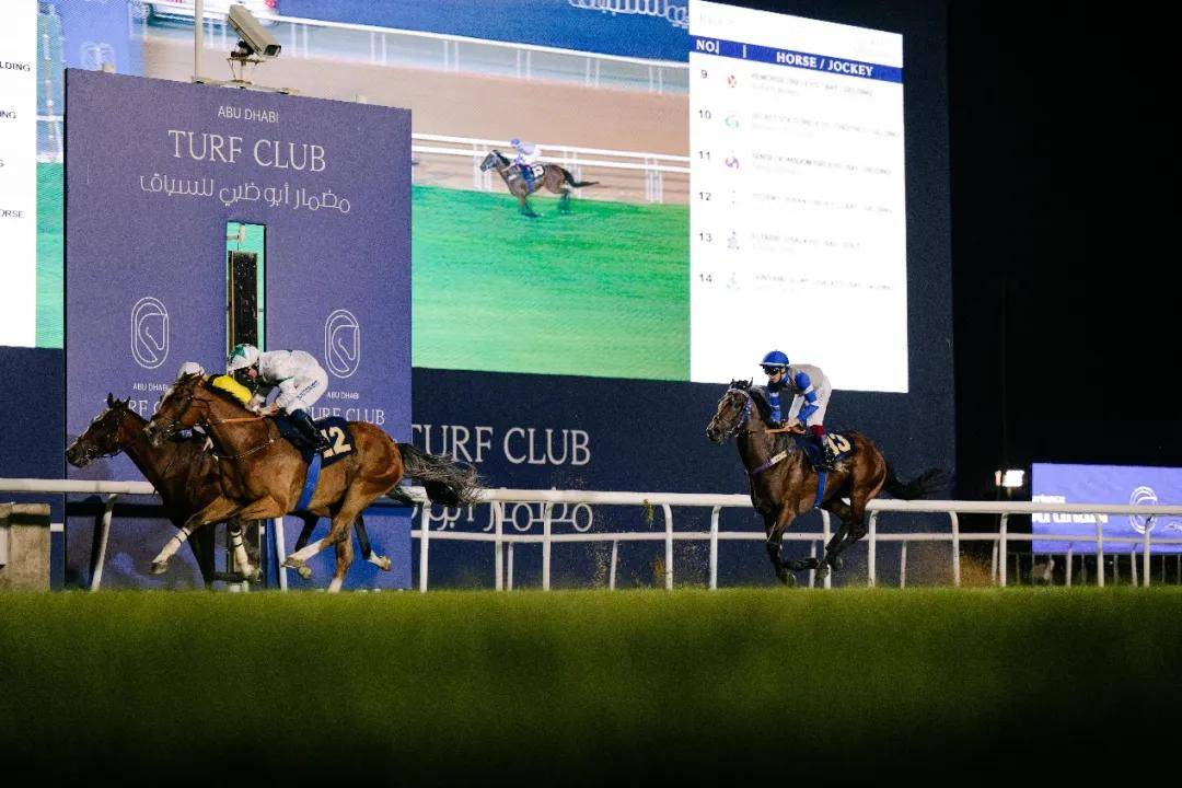 澳門特馬今晚開獎一，探索彩票背后的秘密與期待，澳門特馬今晚開獎，揭秘彩票背后的秘密與期待大獎的激動心情