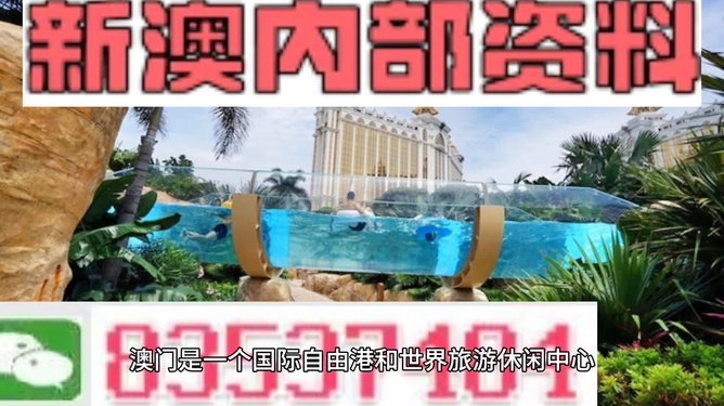 新澳的資料去哪里找——全面指南，新澳資料全攻略，尋找資料的途徑與指南