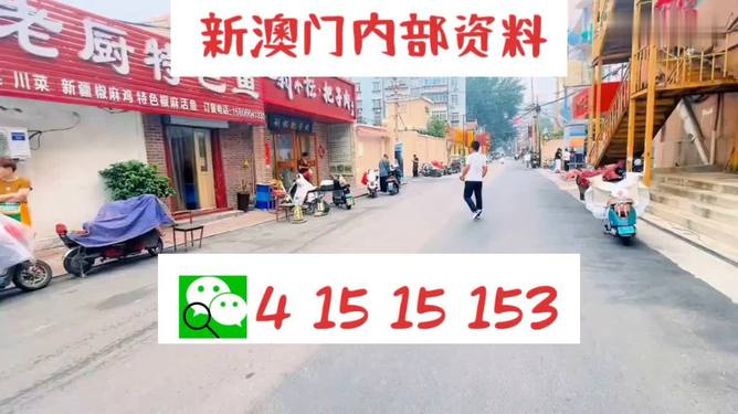 探索未來，新澳門天天開好彩的2025展望，未來展望，新澳門2025年天天彩彩紛呈的探索之路