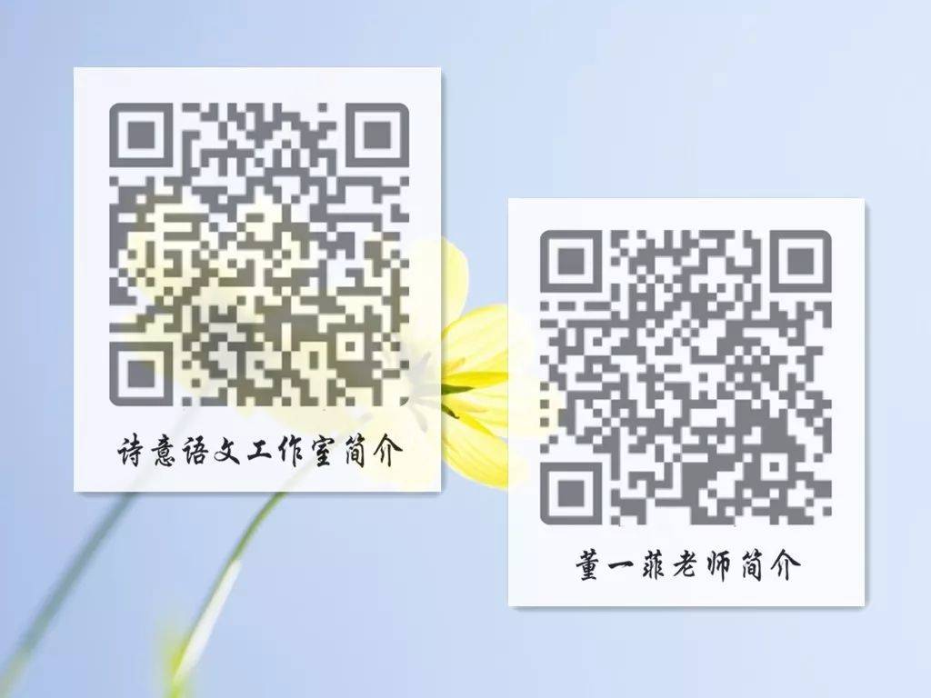 一碼一肖一特一，揭秘背后的秘密與獨特之處，揭秘一碼一肖一特一的獨特之處與背后秘密