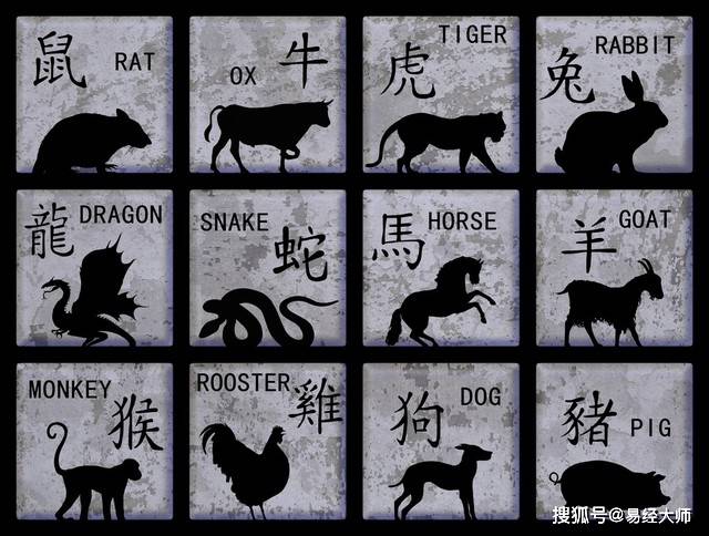 新澳特碼，羊?；⒏鲾?0的獨特魅力與解析，新澳特碼，羊?；⒏鲾?0的獨特魅力深度解析