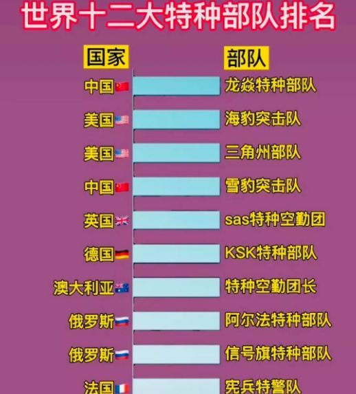 中國十大王牌特種部隊(duì)，實(shí)力與榮耀的象征，中國十大王牌特種部隊(duì)，實(shí)力與榮耀的巔峰標(biāo)志