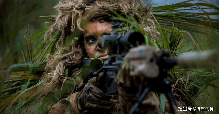 特戰狙擊手免費閱讀——探尋軍事文學的魅力之旅，特戰狙擊手免費閱讀，軍事文學的魅力探索
