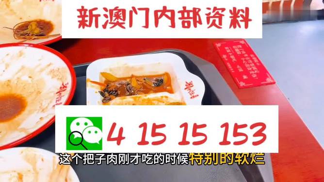 澳門王中王六碼新澳門，探索與解析，澳門王中王六碼新澳門，深度探索與解析