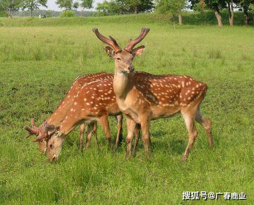 最新版本的6566cc澳彩資料大全介紹及特色功能解析，最新6566cc澳彩資料大全介紹與特色功能深度解析