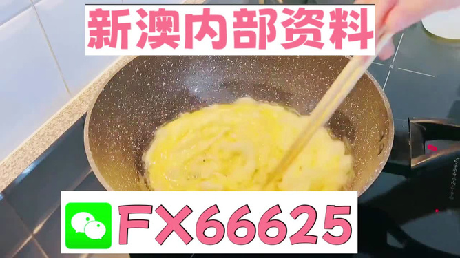 澳門九點(diǎn)半9點(diǎn)半網(wǎng)站——探索與體驗(yàn)，澳門九點(diǎn)半網(wǎng)站，探索與體驗(yàn)之旅