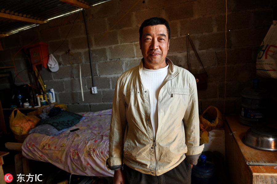 博科圣地組織，深度解析與理解，博科圣地組織深度解析與探究
