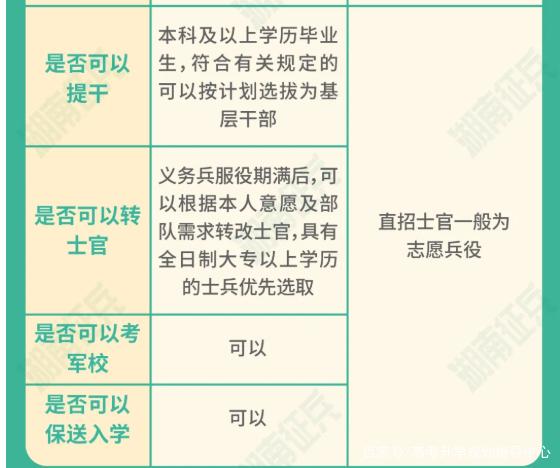 士官直招與義務兵的區別，深入了解軍隊招募制度，直招士官與義務兵招募制度深度解析，軍隊招募制度詳解