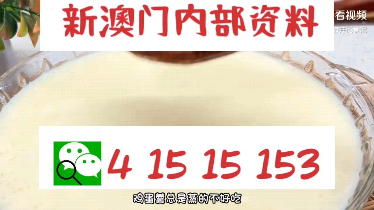 新澳門中特網中特馬，探索與解析，澳門中特馬探索與解析指南