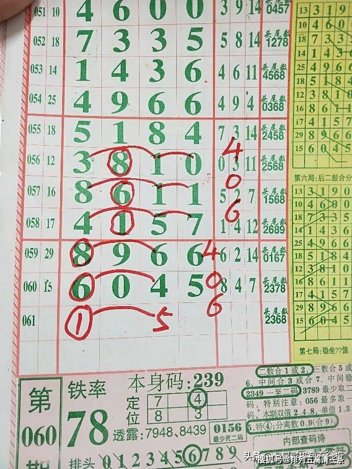 平特肖推算法，探索搜索引擎優(yōu)化的新境界，平特肖推算法，開啟搜索引擎優(yōu)化新境界的探索之旅