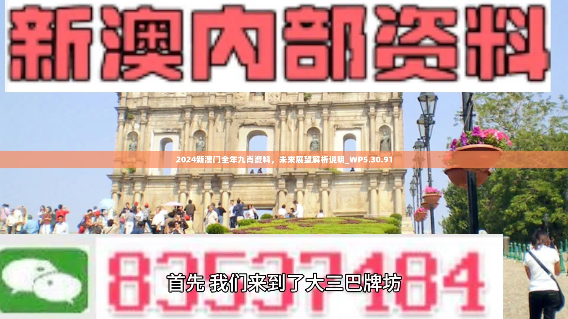 新澳門精準九肖，揭秘預測技巧與策略，揭秘新澳門精準九肖預測技巧與策略