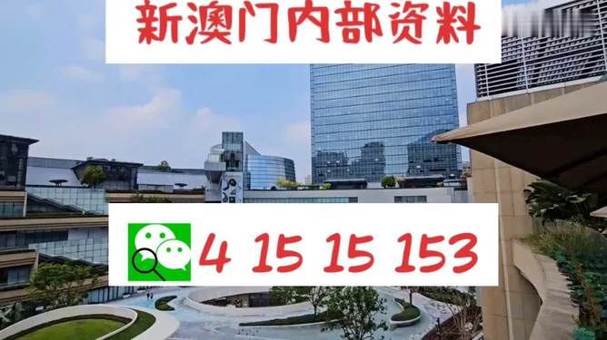 新澳門單雙，探索數字世界的奧秘與魅力，澳門數字世界的奧秘與魅力探索，單雙數的奇幻之旅