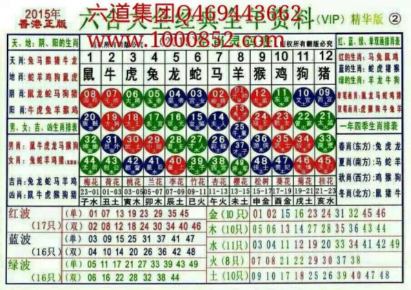 揭秘2024十二生肖49碼表——完整指南，揭秘十二生肖49碼表全攻略，2024年最新版指南