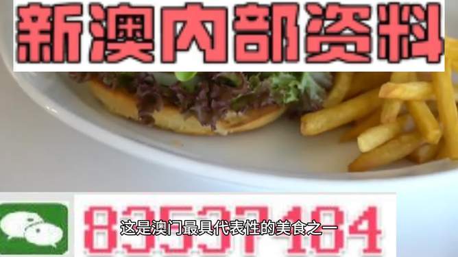 新澳2024生肖最新資料解析與預測，新澳2024生肖解析與預測報告