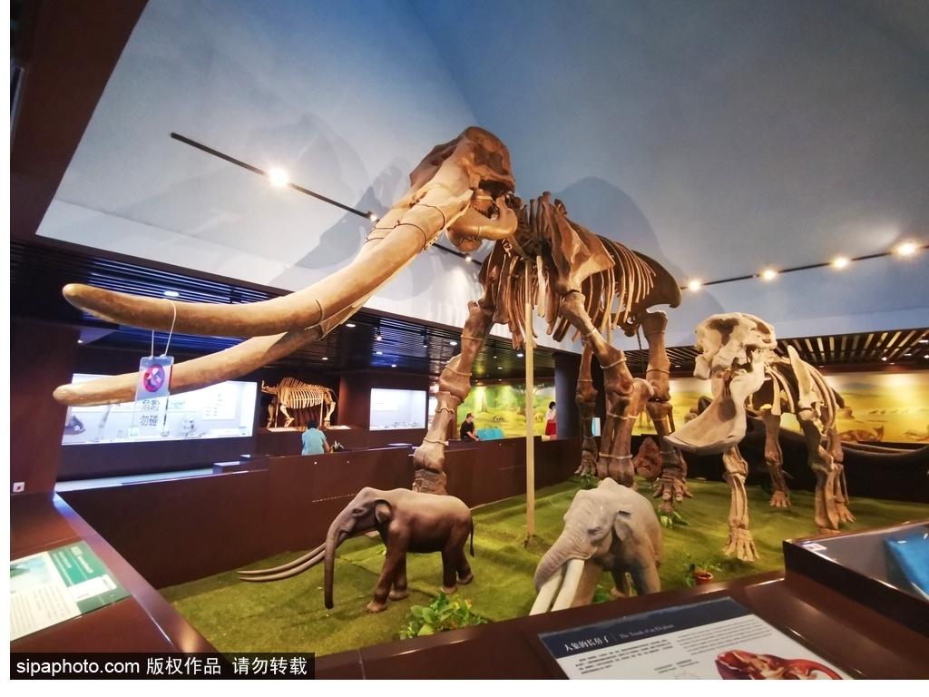 北京必去的十大博物館——探尋千年文化的精華之旅，北京必游十大博物館，千年文化精華之旅探尋記