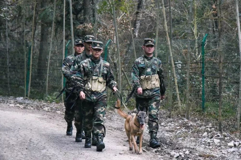 火箭軍是否都在大山之中？解析火箭軍的駐扎環境與任務特點，火箭軍的駐扎環境與任務特點解析，大山之中還是多元布局？