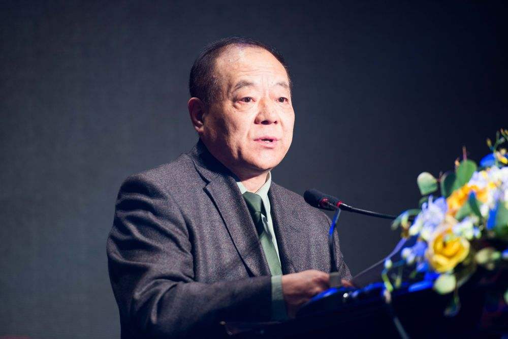 軍事紀實假軍人現形記，揭示真相，維護正義，假軍人現形記，揭示真相，維護正義之戰