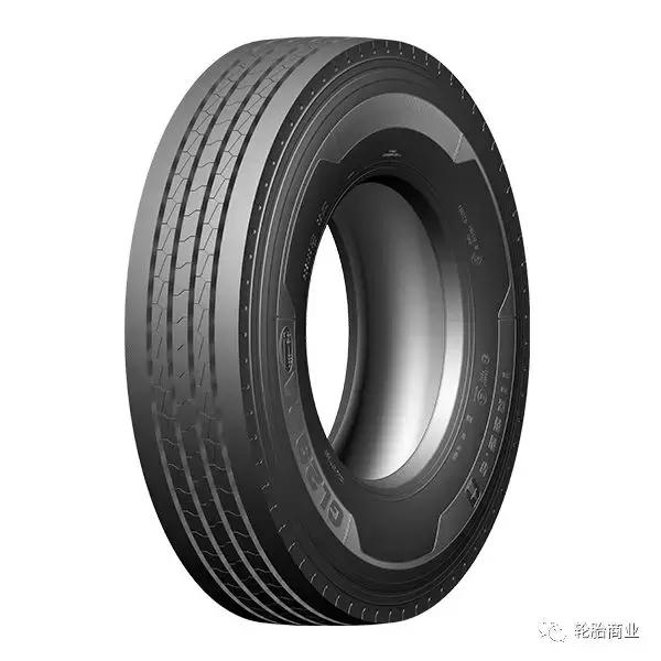 王中王295期指一生肖，揭秘生肖運勢與預測背后的秘密，揭秘生肖運勢預測，王中王295期生肖運勢背后的秘密探索