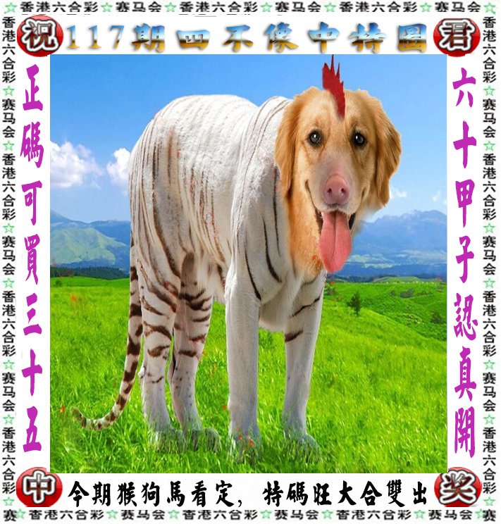 王中王四不像一肖論壇，探索神秘論壇的世界，王中王四不像一肖論壇，神秘論壇世界的探索之旅