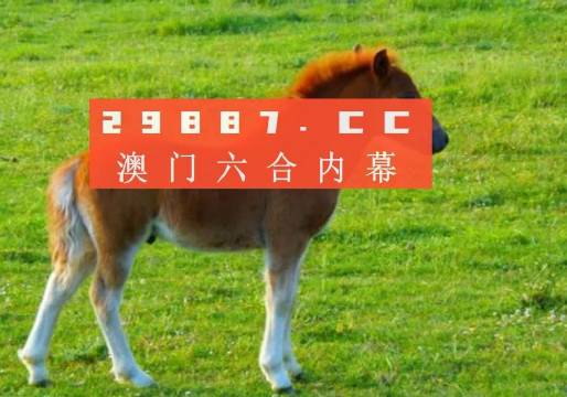 澳門答家婆一肖一馬一中一特，揭秘背后的秘密與獨特文化魅力，澳門文化魅力深度解析，答家婆一肖一馬一中一特的獨特傳統與秘密