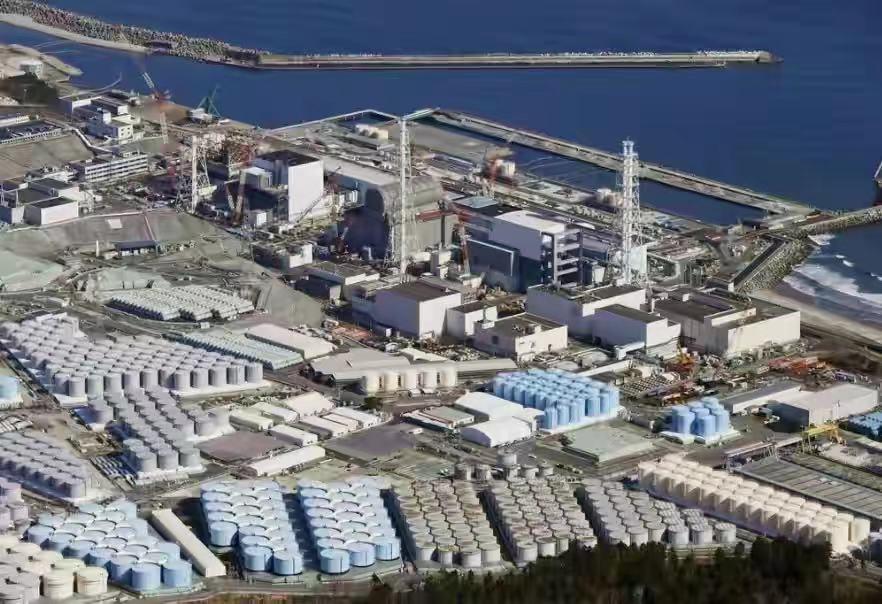澳門今晚必開一肖81期，探索生肖運勢與預測的秘密，澳門生肖運勢揭秘，探索生肖預測與81期必開一肖的神秘面紗