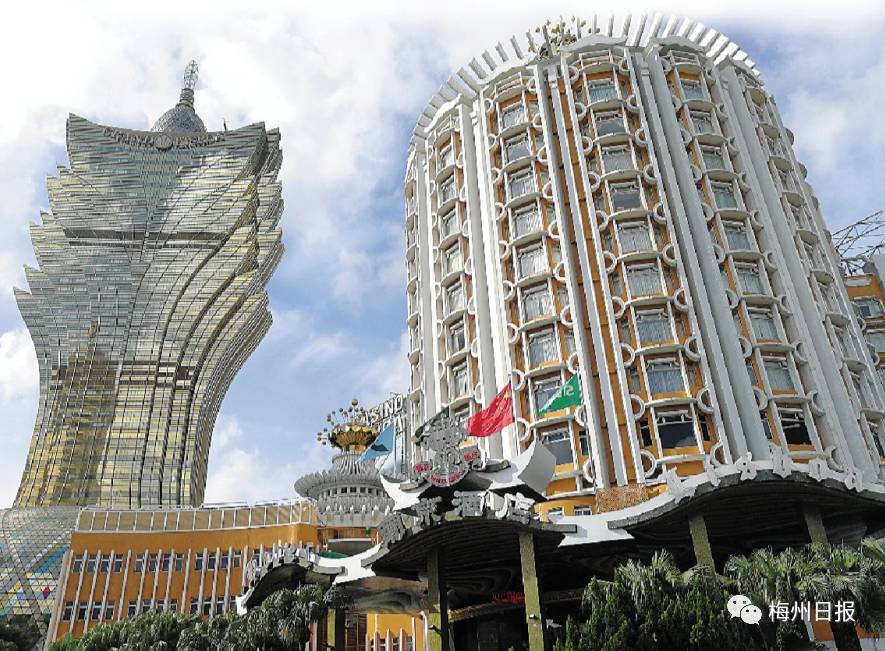 新澳門最精準——探索澳門的精準旅游魅力，澳門精準旅游魅力探索之旅