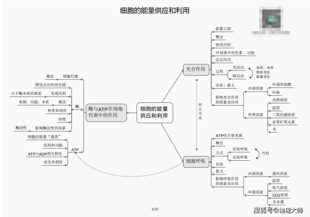 揭秘劉伯溫四肖三期內必出一，神秘預言背后的真相，劉伯溫四肖三期預言真相揭秘，神秘預言背后的必然與偶然