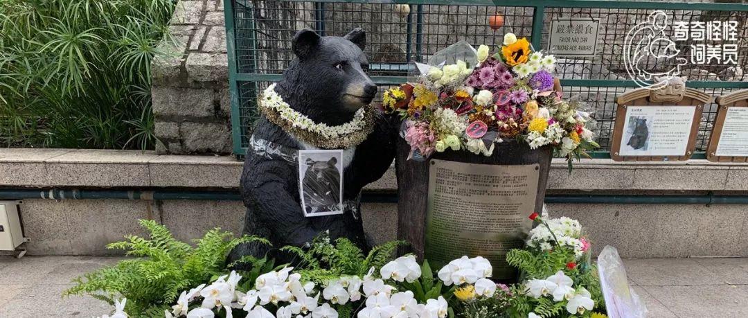 澳門最快開獎現場，揭秘彩票開獎的即時速度與激情，澳門最快開獎現場揭秘，彩票開獎的速度與激情