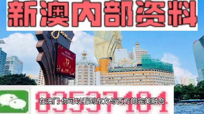 新澳天天開獎資料大全旅游團，探索澳門的魅力與樂趣，澳門探索之旅，新澳天天開獎資料大全旅游團體驗魅力與樂趣