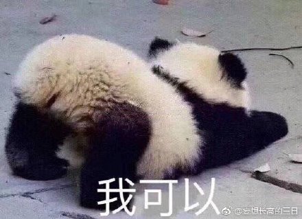 澳門精準四不像最新正版，揭秘與探索，澳門精準四不像揭秘與探索最新正版資訊