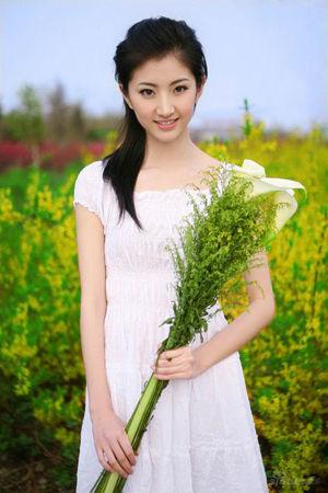 新澳門生肖走勢圖精準版，解讀與SEO策略，新澳門生肖走勢圖精準解讀與SEO策略揭秘