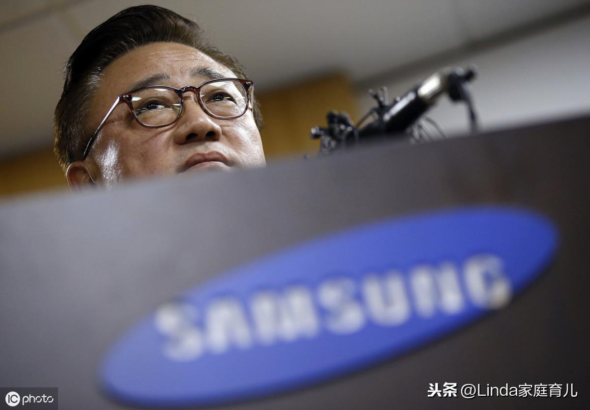王中王86期指一生肖，深度解析與預測，王中王86期生肖深度解析與預測，揭秘生肖運勢走向