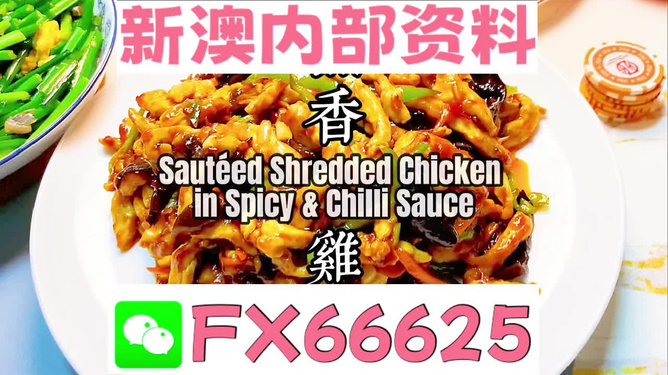 新奧天天精準資料大全，全方位解讀與應用指南，新奧天天精準資料大全，全方位解讀與應用指南手冊