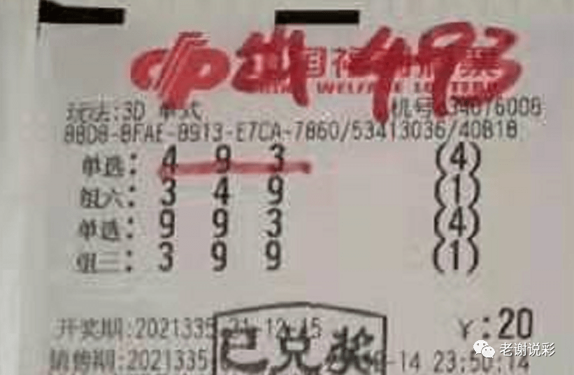 新奧門彩天天開獎資料一網(wǎng)羅萬象，揭秘彩票奧秘，揭秘彩票奧秘，新奧門彩天天開獎資料一網(wǎng)羅萬象