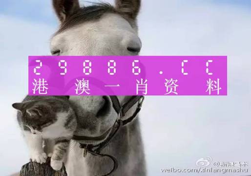 揭秘劉伯溫四肖選一碼的意思——探尋背后的故事與真相，揭秘劉伯溫四肖選一碼背后的真相與故事
