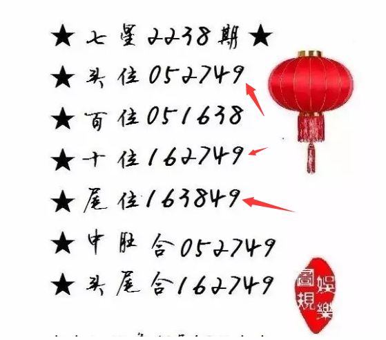 王中王一肖尾數資料，深度解析與探索，王中王一肖尾數資料深度解析與探索之旅