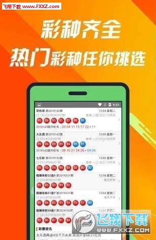 揭秘660678C0m王中王三肖一碼，真相與奧秘，揭秘，王中王三肖一碼真相與奧秘探索